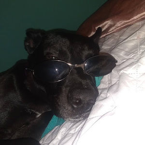 Meet your Posher, Emma